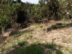 Terreno para Venda em Vila Velha - 5