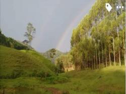 #VARGEM ALT - Terreno para Venda em Vargem Alta - ES - 1