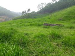 #VARGEM ALT - Terreno para Venda em Vargem Alta - ES - 2