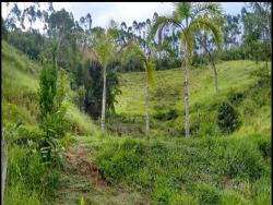 Terreno para Venda em Vargem Alta - 4